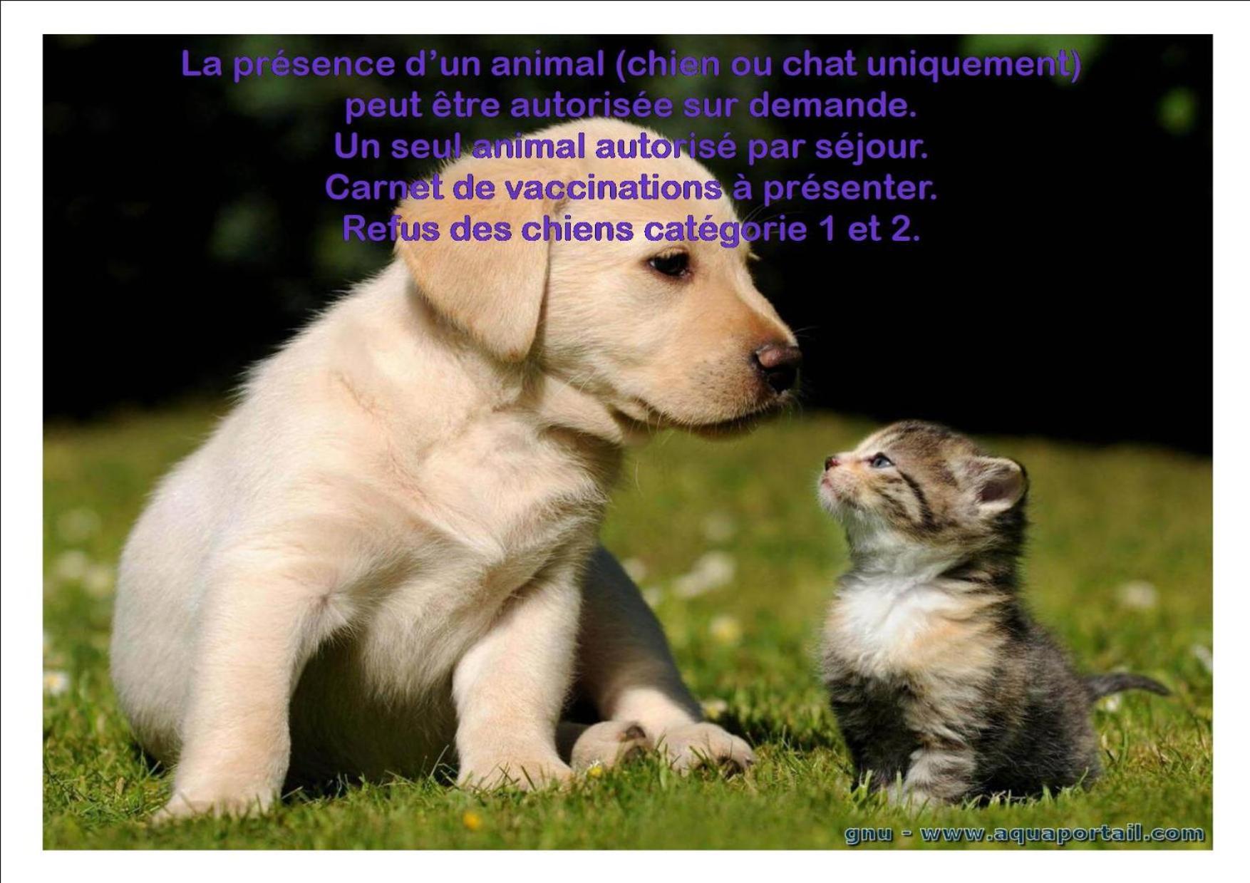 Le Gite Du Frene Poses Kültér fotó